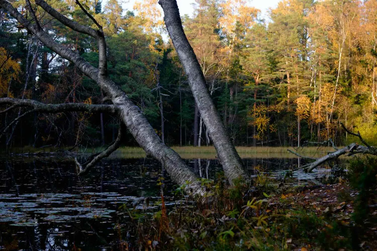 Crown Mountain Lake