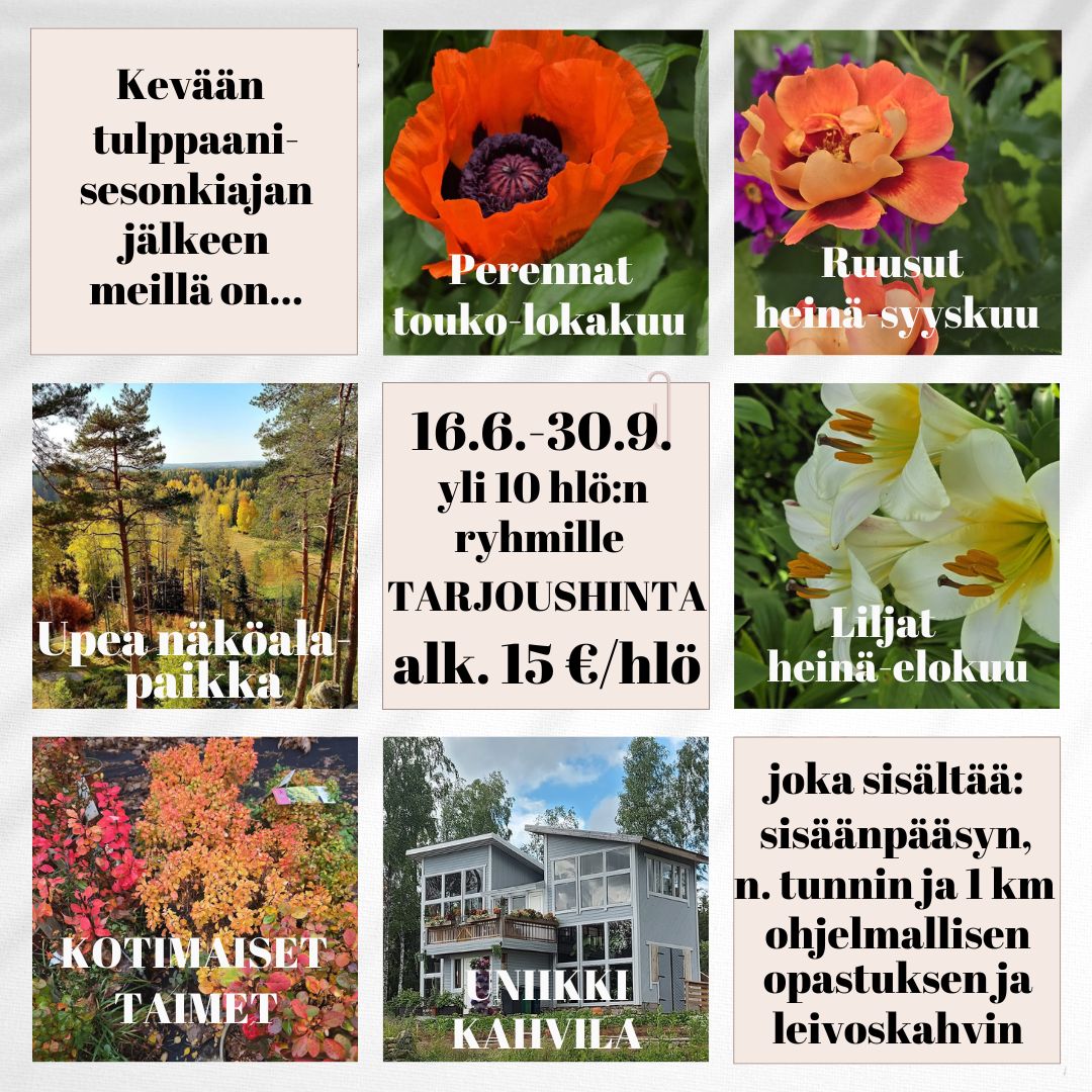 Pölkinvuori's Plant World