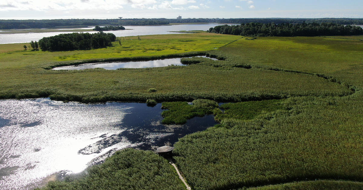 Vanhankaupunginkoski and Vanhankaupunginlahti