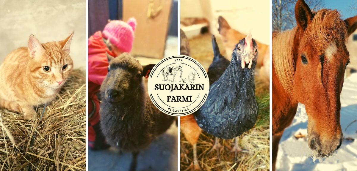 Suojakari Farm