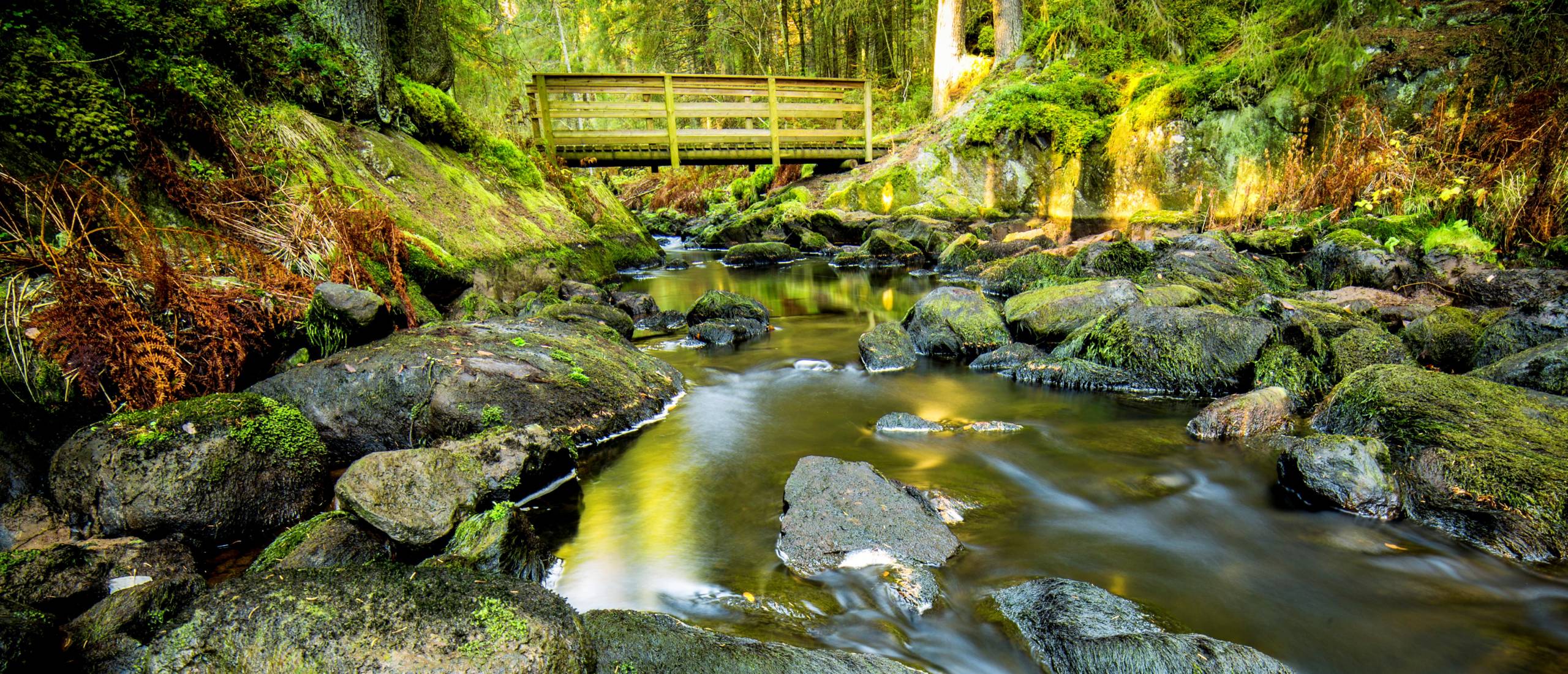 Juupajoen ravine