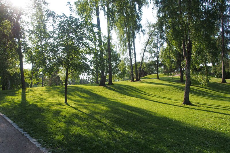 Kaivopuisto