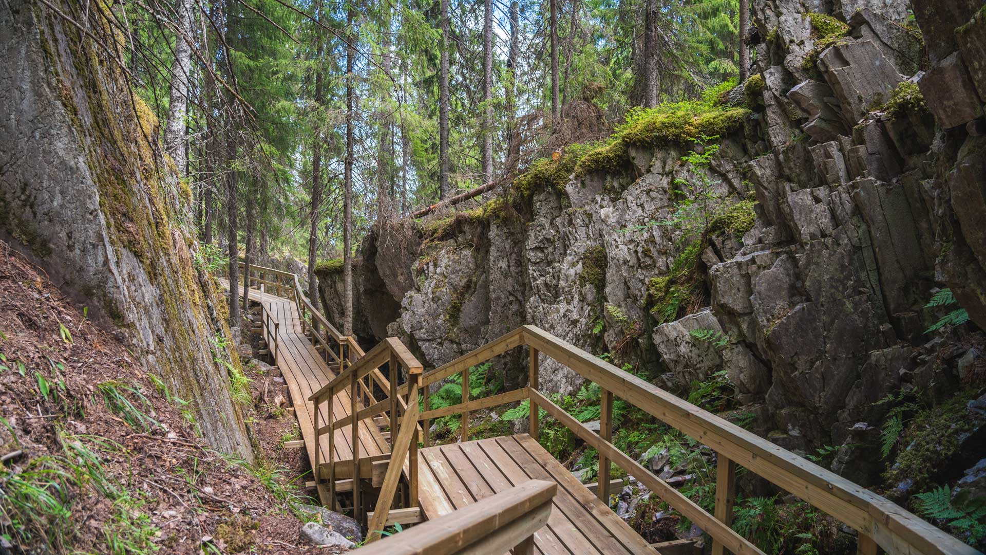 Mäkiaution rotko 
Mäkiaution Gorge