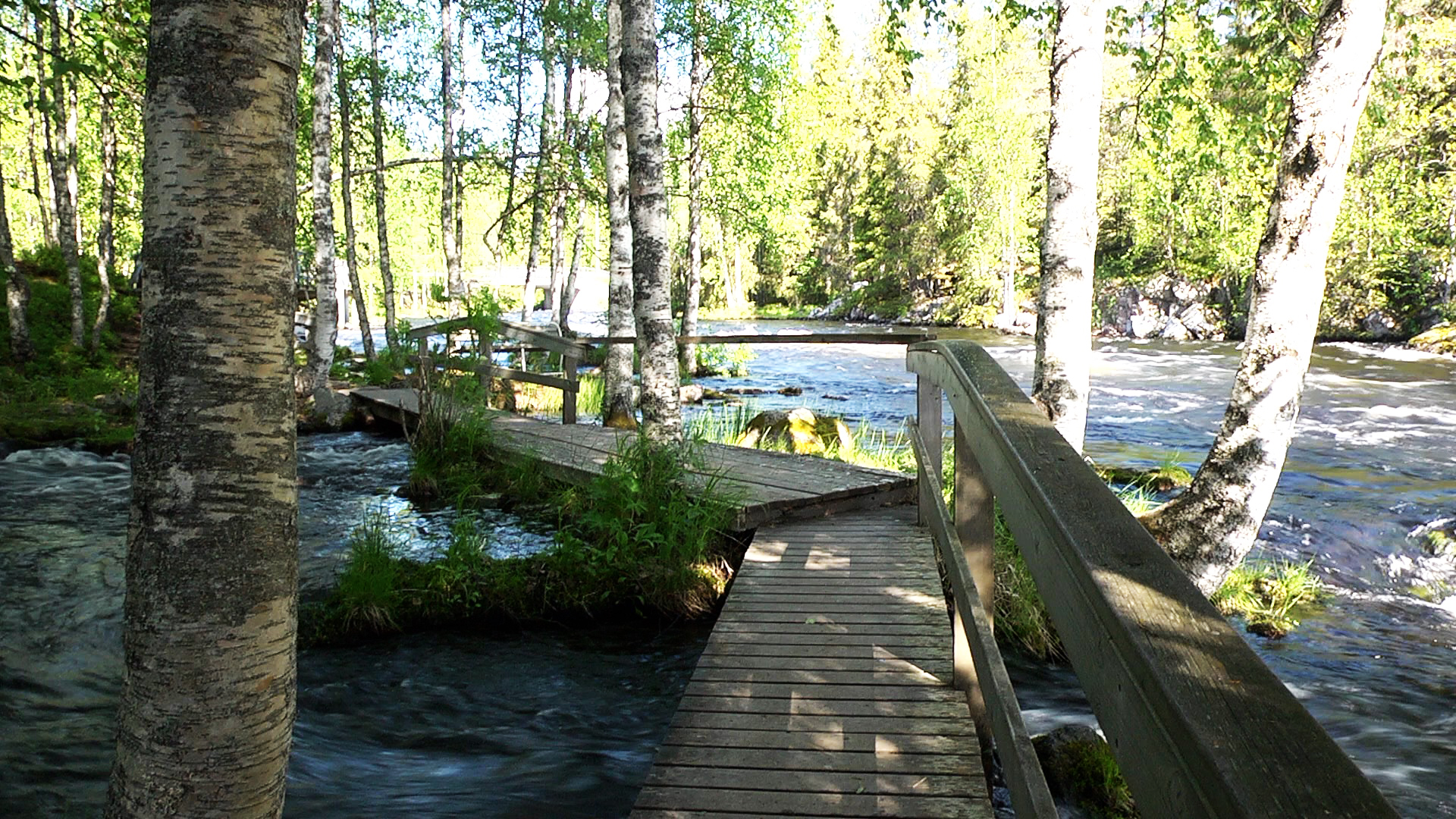 Käylänkoski, Koskipuisto