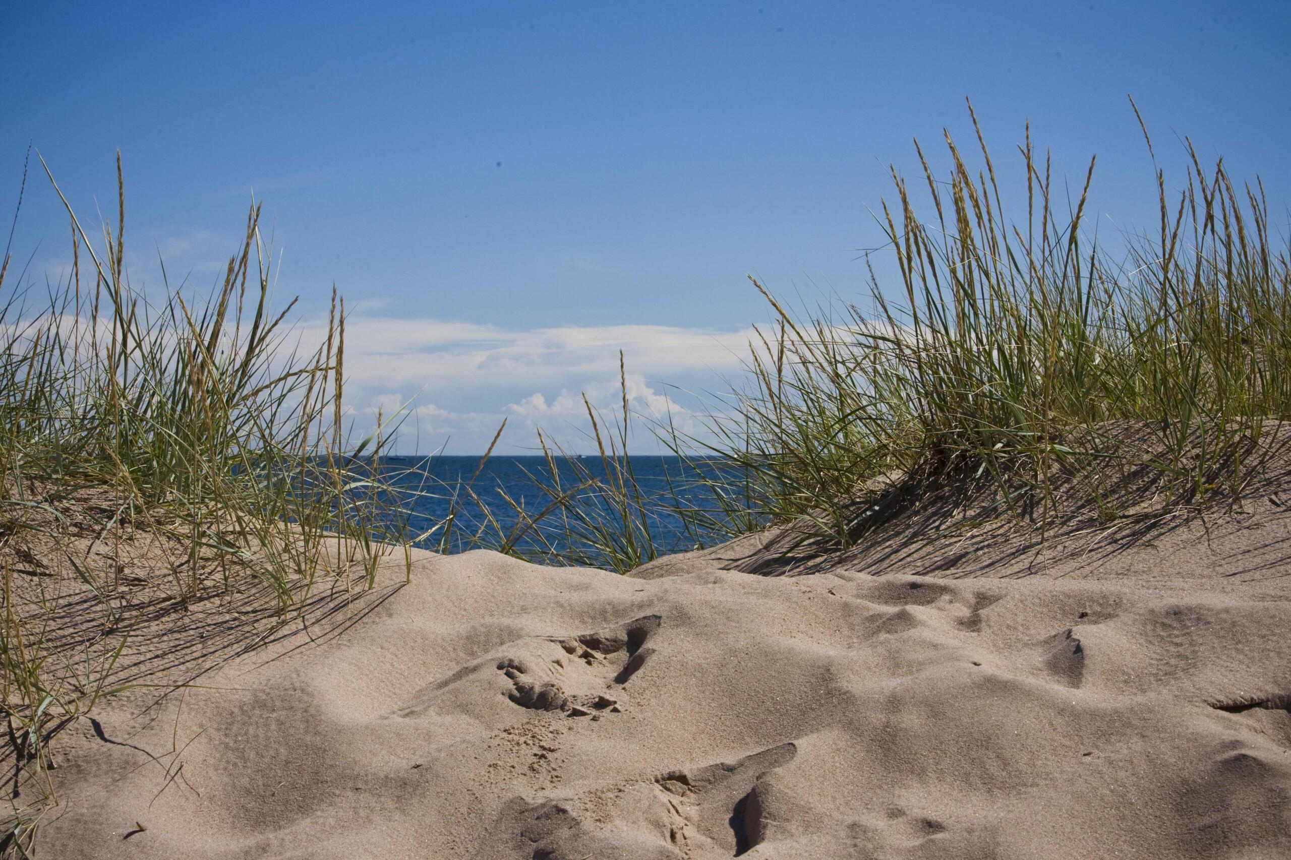 Lappohja Beach
