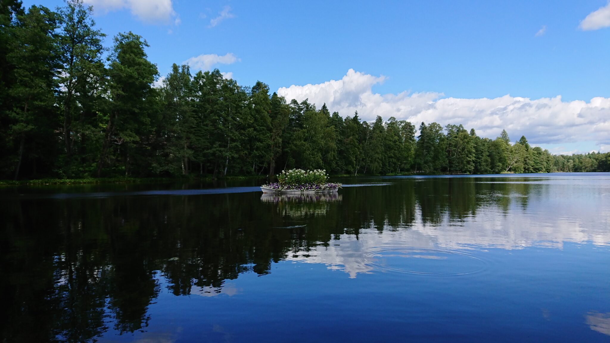 Recreation area of Gallträsk