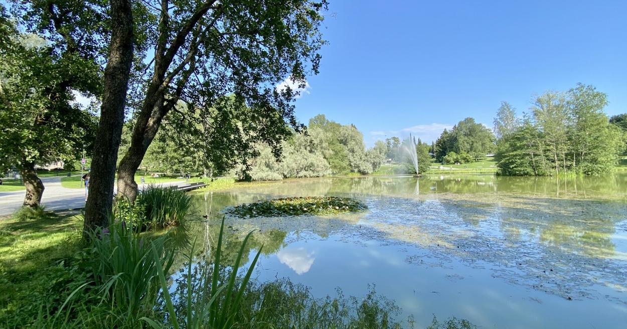 Finnish Duck Park