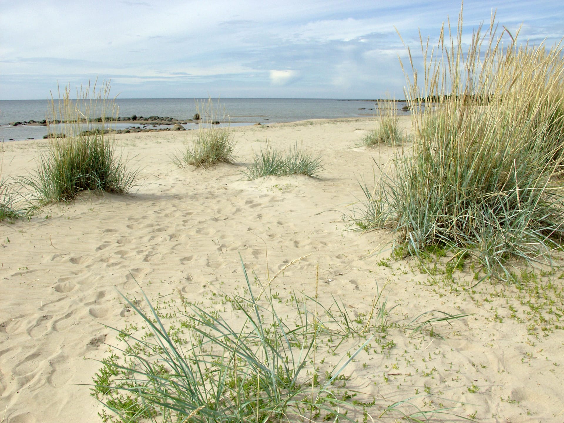 Tauvon Beach