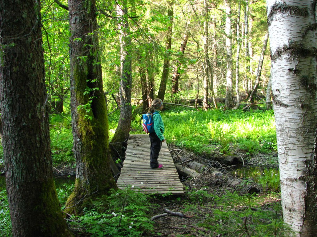 Lankosken Nature Trail (1 km)