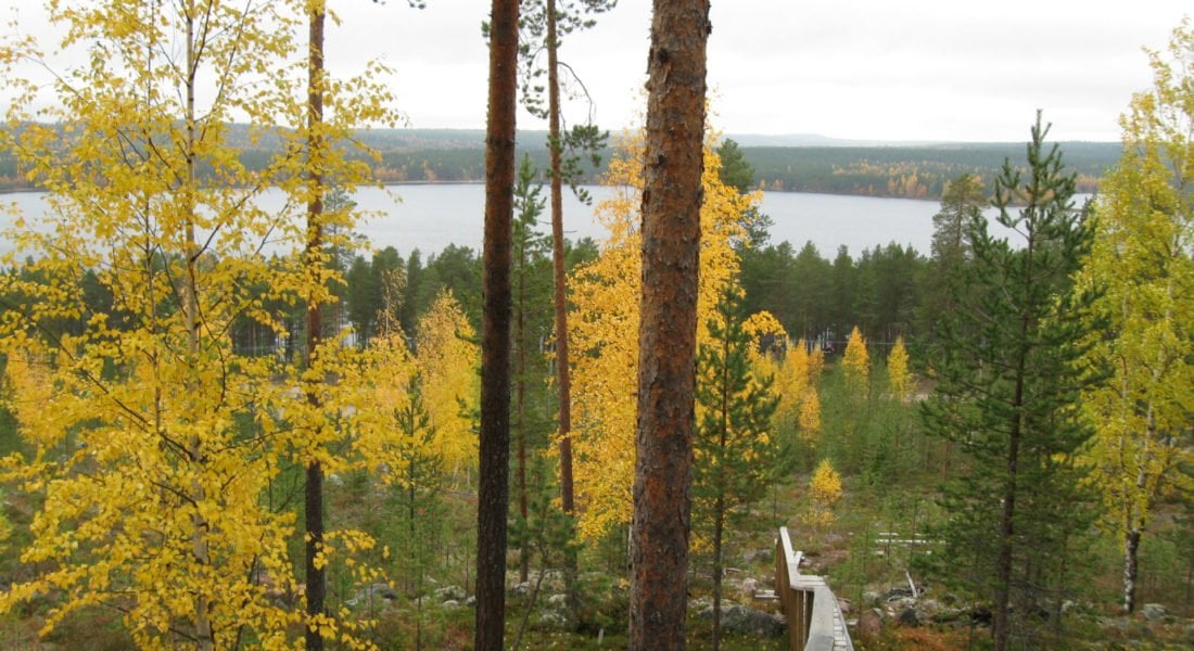 Möötikkärakka