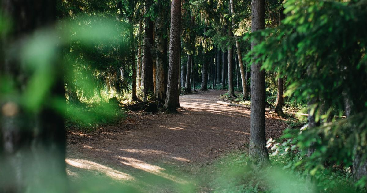 Vantaankosken luontopolku